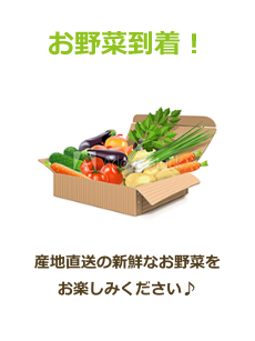 お野菜到着！
